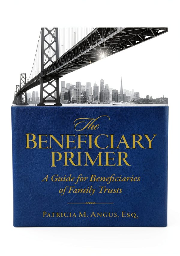 Kindle Store Legal Self-Help Book English Edition-0