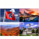 Real Estate Law Kindle Guide by Performance Programs Company-0