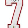 SportsFrames.com Authentic Framed Jersey Display-1