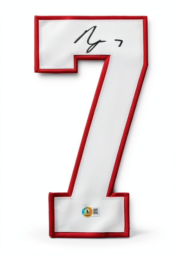 SportsFrames.com Authentic Framed Jersey Display-1